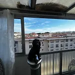 Roof Center Apartment